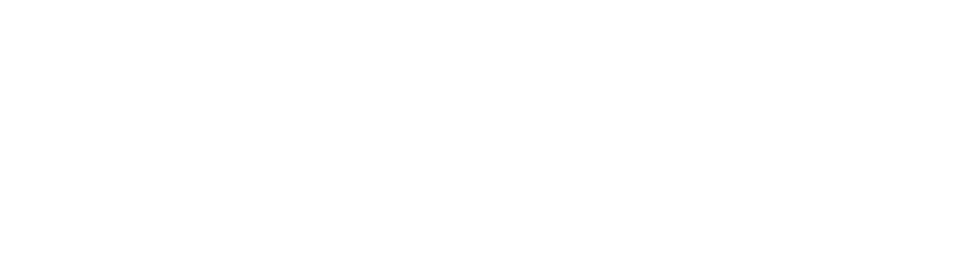 EPISNEST white logo